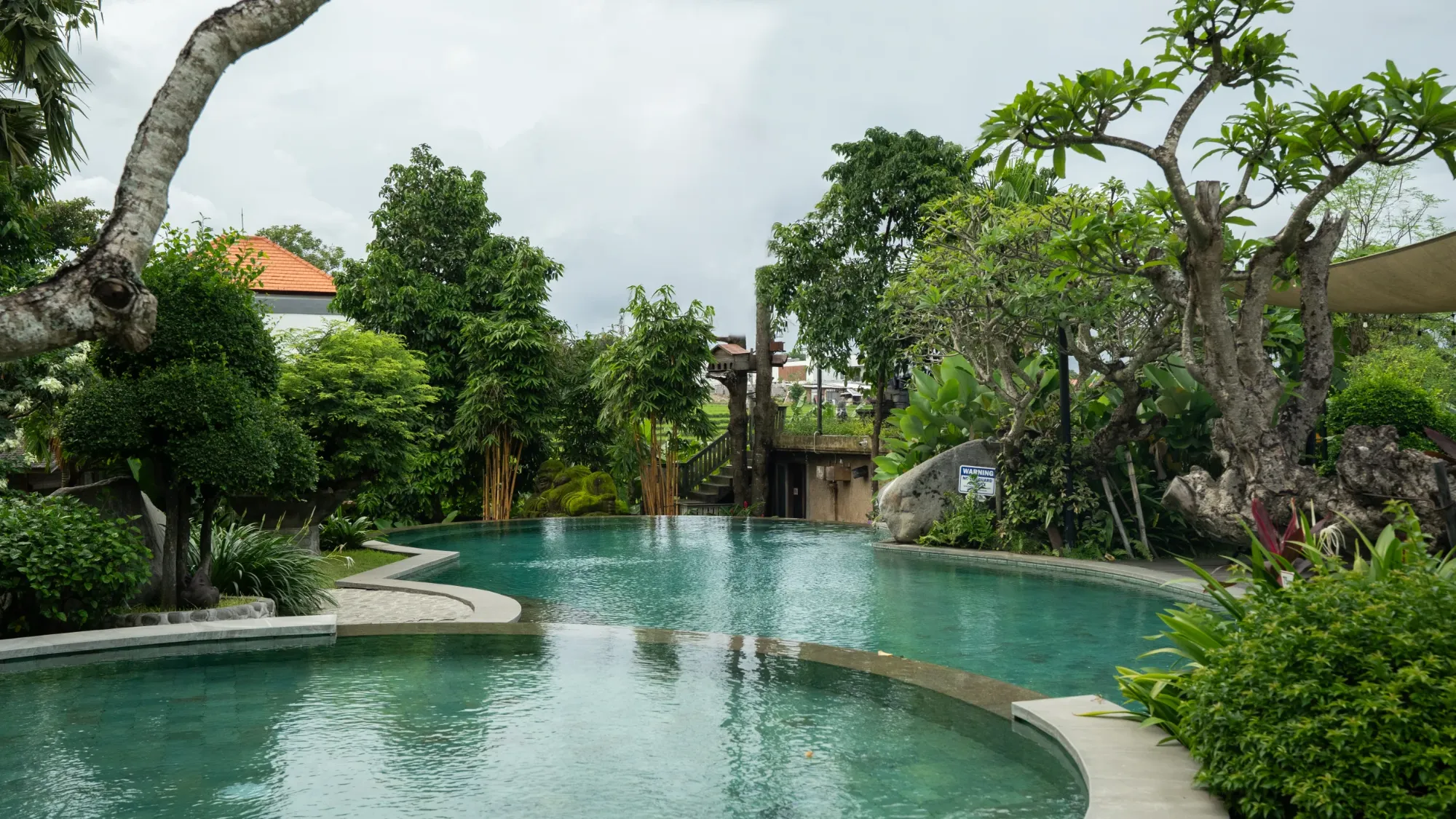 Pool and garden